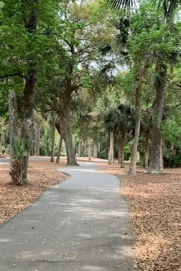 Coastal scenery and outdoor attractions in Hilton Head Island