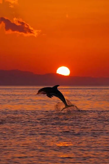 Fishing experience near Hilton Head Island